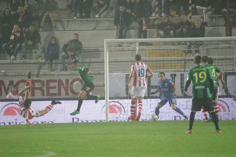 (ph. Zonta /SPORTvicentino)