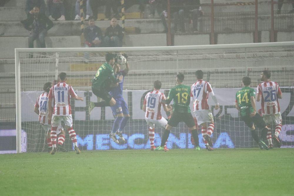 (ph. Zonta /SPORTvicentino)